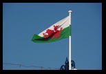 Aberystwyth -08-06-2014 - Bogdan Balaban